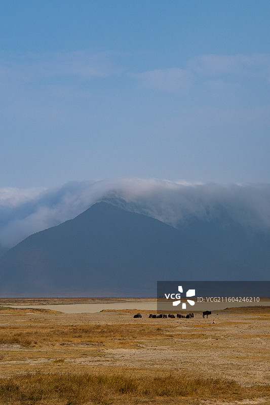 坦桑恩格罗恩格罗火山口景观图片素材