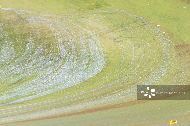 溪流漂浮颗粒组成的五彩调色板1图片素材