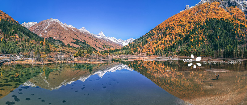 四姑娘山双桥沟秋景图片素材