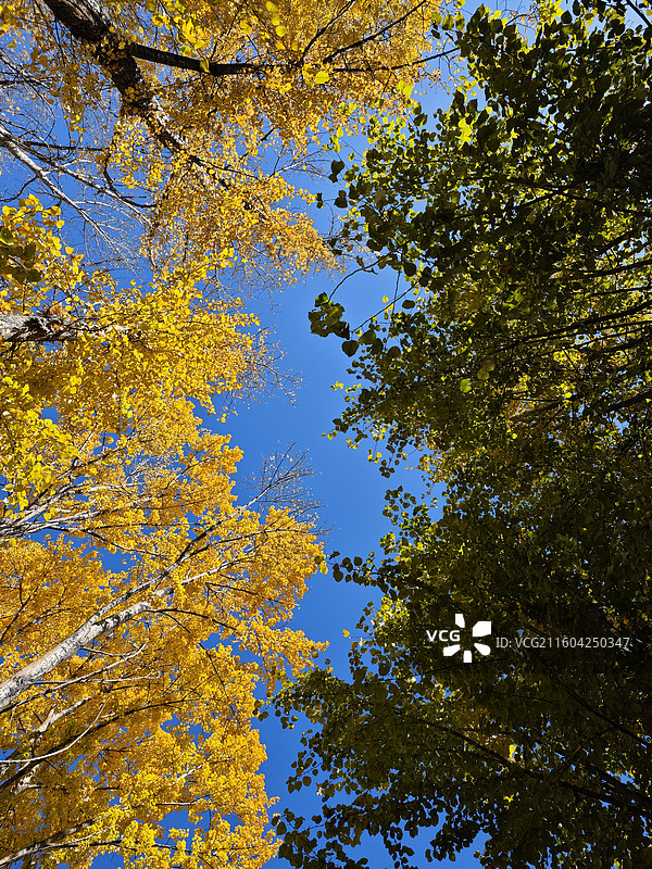 拉萨秋色图片素材