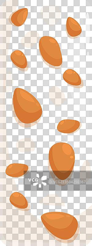 杏仁牛轧糖条蘸入白巧克力图片素材