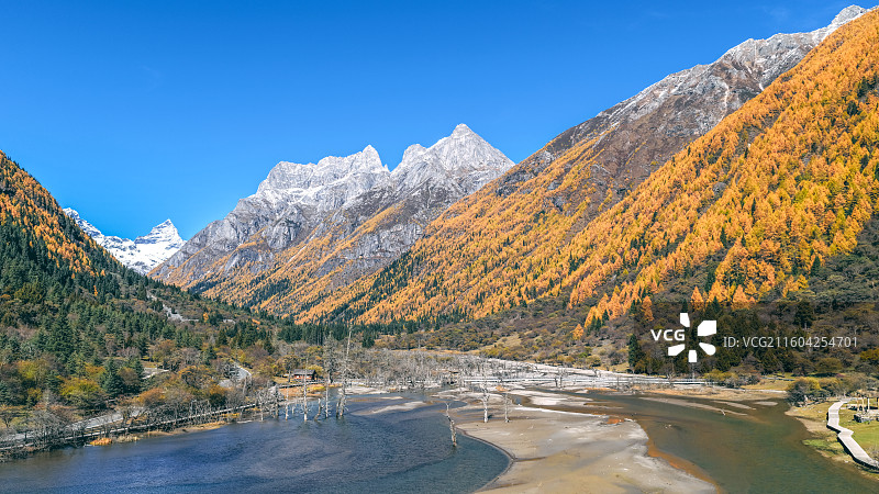 四姑娘山双桥沟秋景图片素材