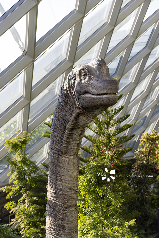 新加坡滨海湾花园云雾林恐龙图片素材