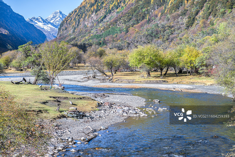 四姑娘山双桥沟秋景图片素材