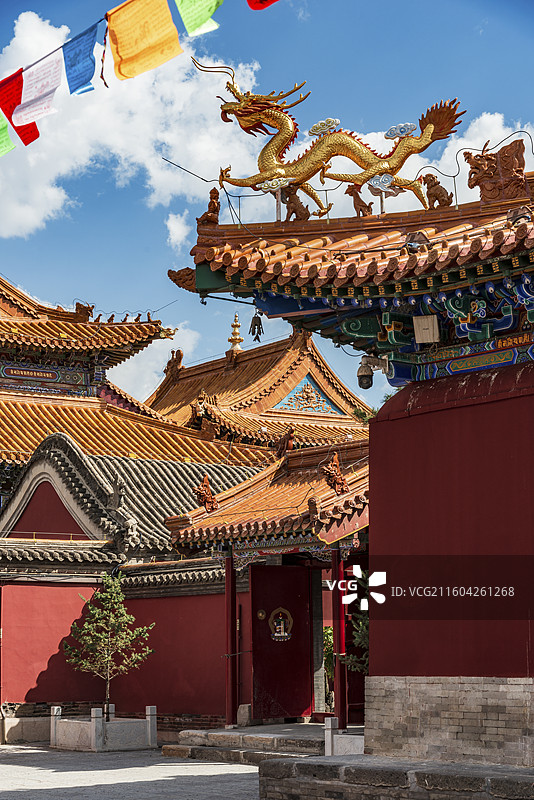 大召无量寺图片素材