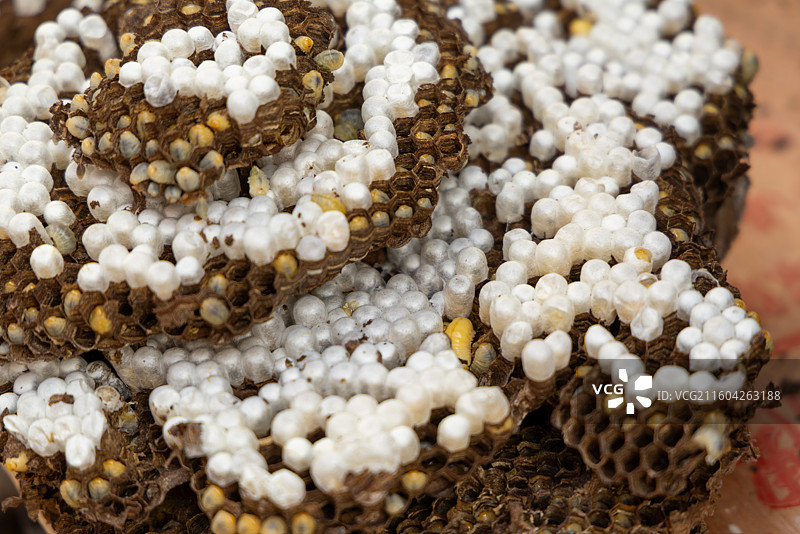 四川地方特色美食马蜂蛹图片素材