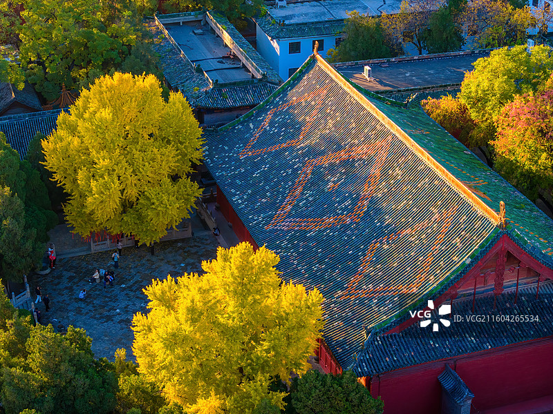 太原文庙秋景图片素材