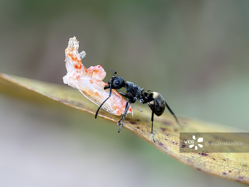 外卖小哥图片素材