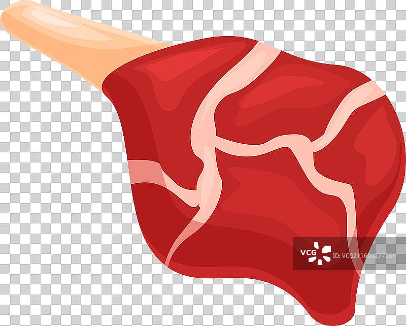 用于烹饪美味佳肴的生红肉块图片素材