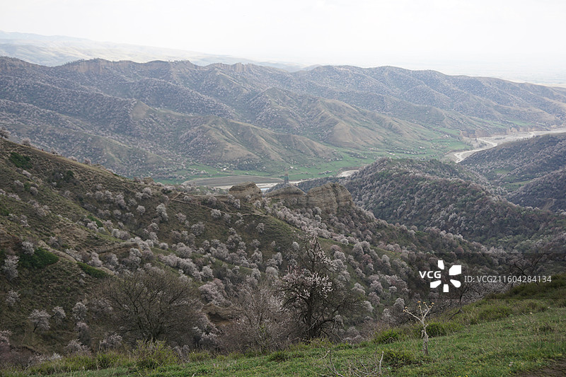新疆伊犁州霍城县大西沟中华福寿山景区春色图片素材