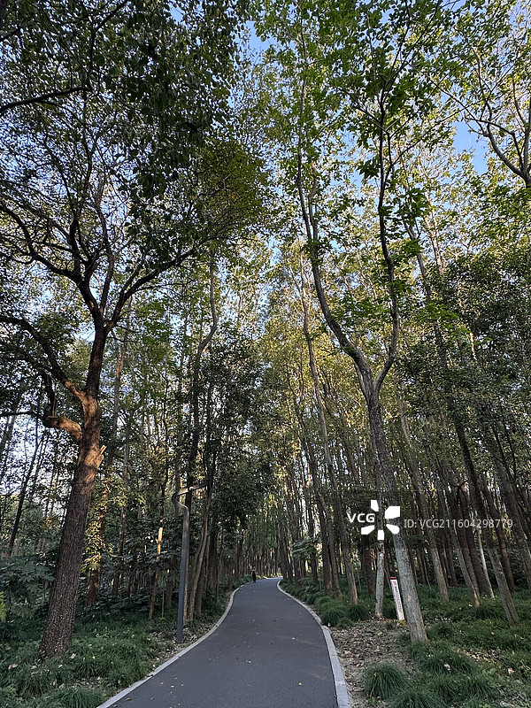 上海汤巷公园图片素材