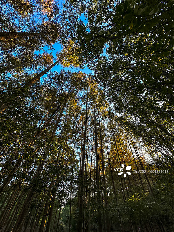 上海汤巷公园图片素材