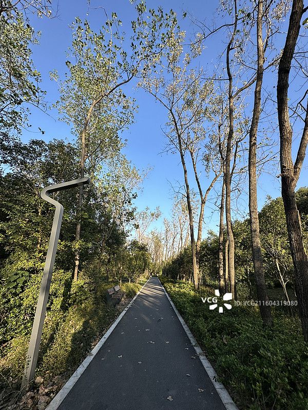 上海汤巷公园图片素材