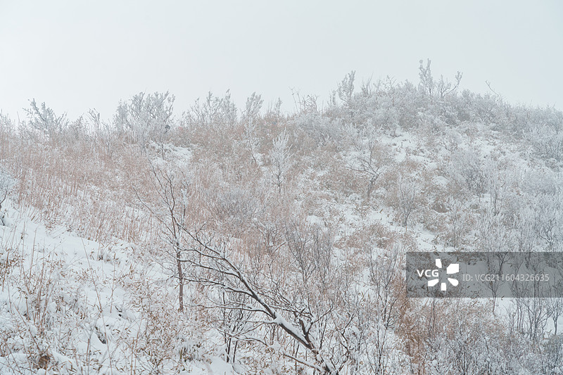 杭州余杭鸬鸟山冬天高山森林雪景图片素材