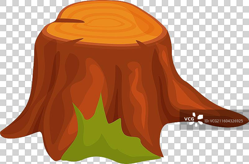 显示生长年轮的古老树桩，上面长有绿色的植物图片素材