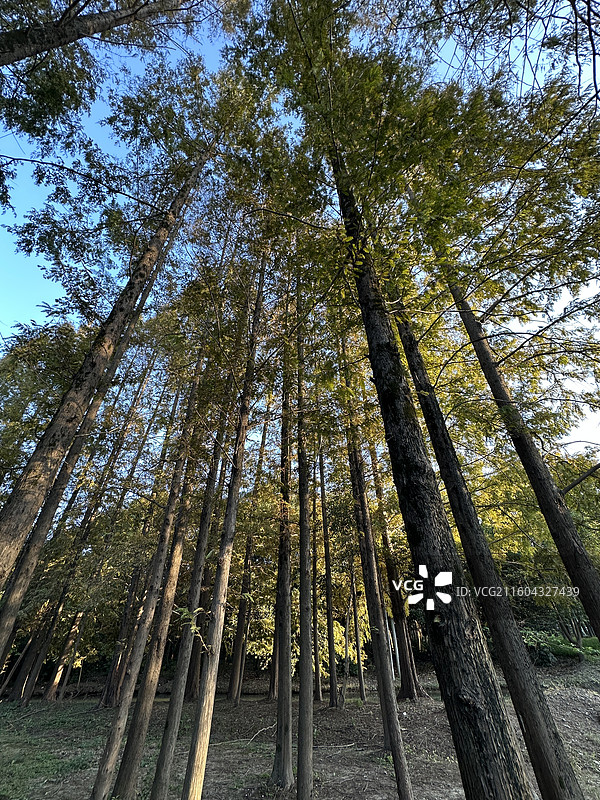 上海汤巷公园图片素材