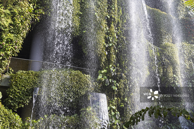 新加坡滨海湾花园云雾林图片素材