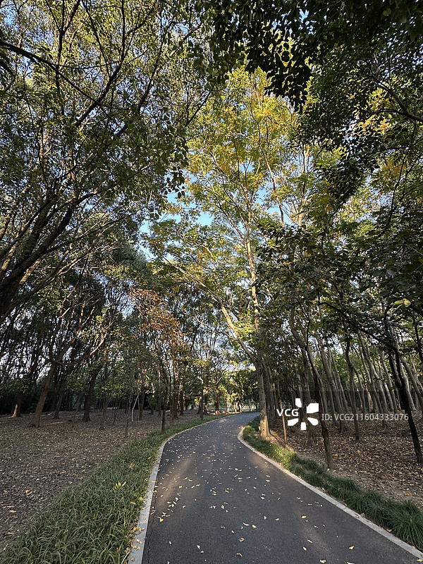 上海汤巷公园图片素材