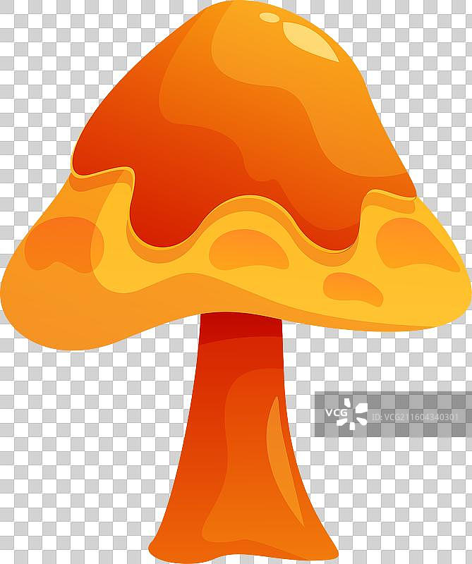 光泽橙色蘑菇在白色背景上高高挺立图片素材