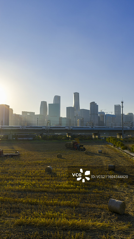 杭州钱江世纪城麦田CBD现代化农业航拍图片素材