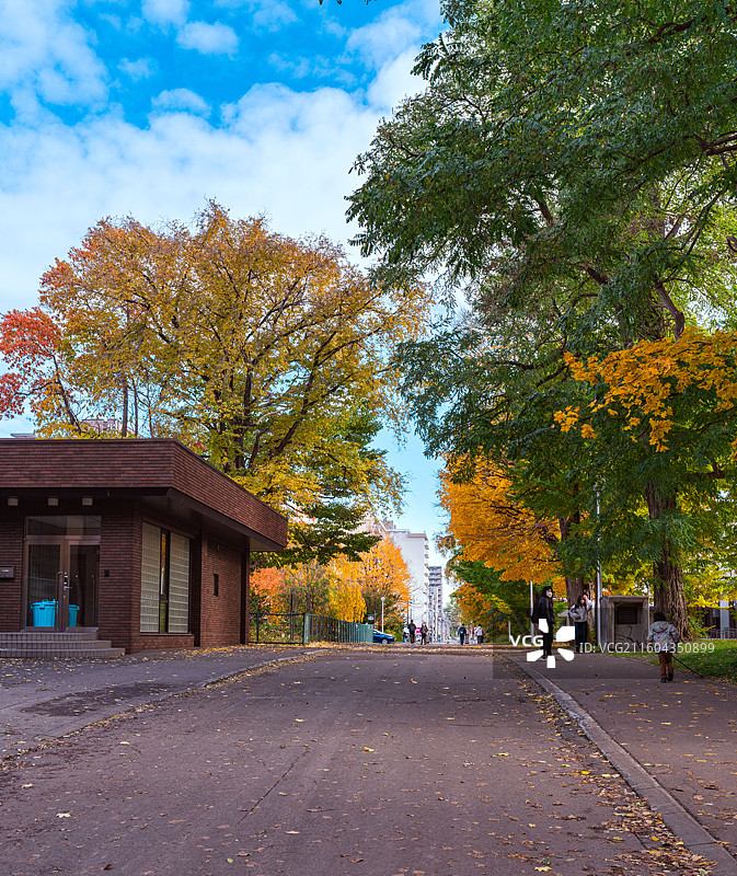 北海道大学秋景图片素材