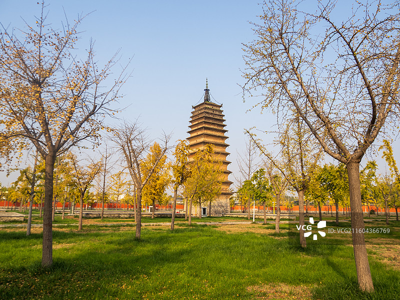 全国重点保护文物 焦作武陟妙乐寺塔 秋天图片素材