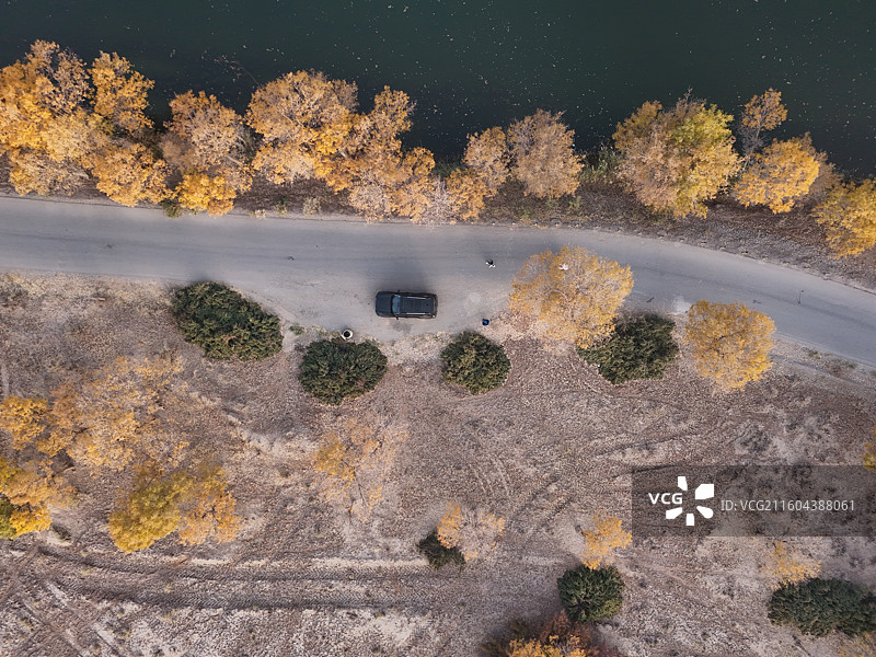 巴楚红海胡杨林秋色图片素材
