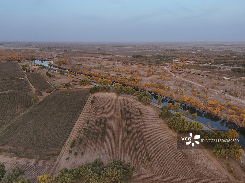 巴楚红海胡杨林秋色图片素材