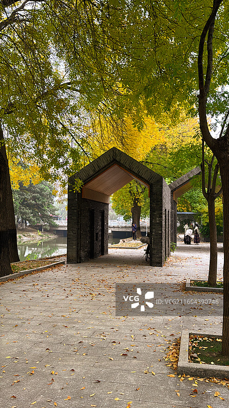 天津南运河秋色图片素材