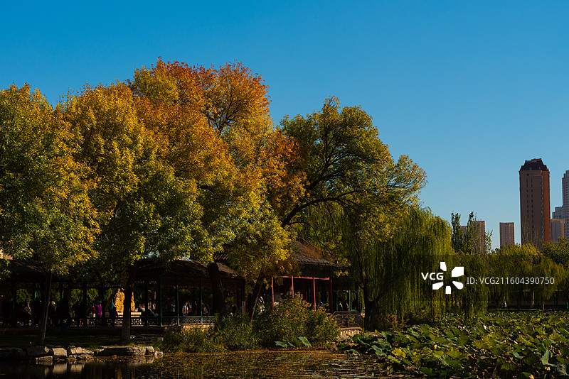 天子北宁公园秋色图片素材