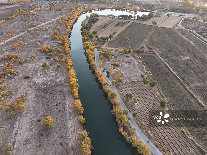 巴楚红海胡杨林秋色图片素材