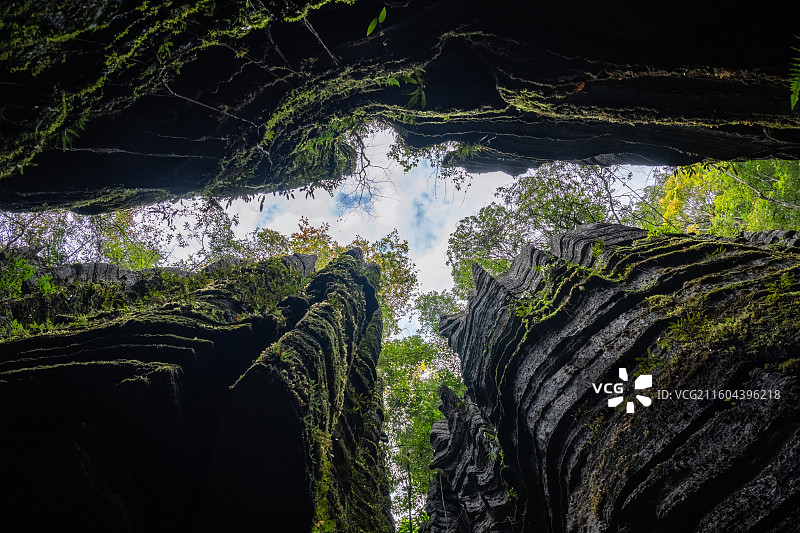 雄鹰展翅-恩施梭布垭石林图片素材