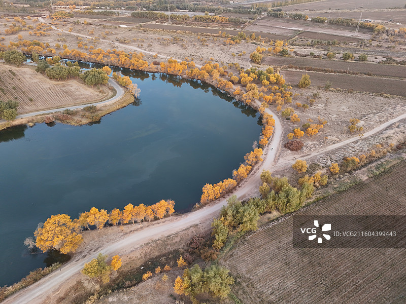 巴楚红海胡杨林秋色图片素材