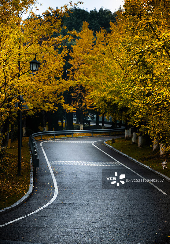 重庆铁山坪公园图片素材