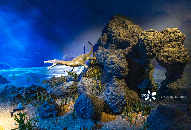 三叠纪时期兴义动物群场景复原  国家海洋博物馆图片素材
