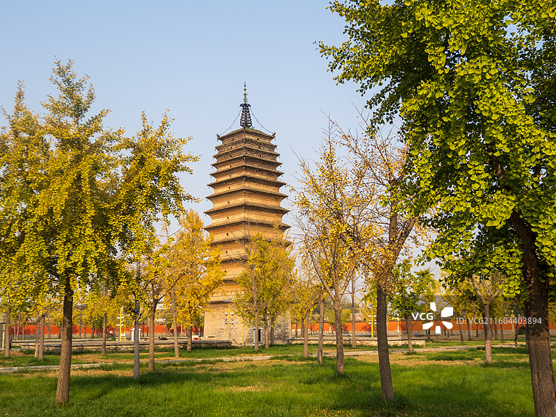 全国重点保护文物 焦作武陟妙乐寺塔 秋天图片素材