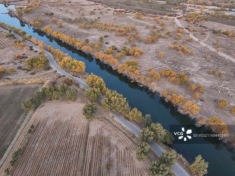 巴楚红海胡杨林秋色图片素材