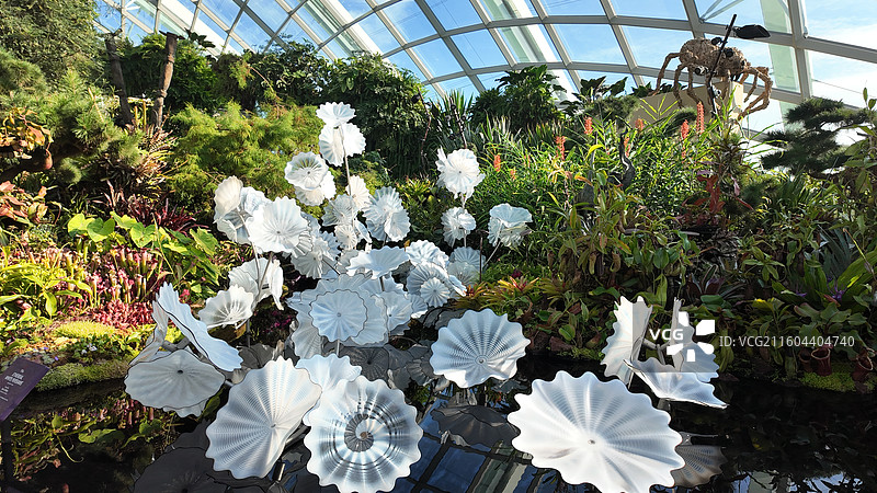 新加坡滨海湾花园云雾林图片素材