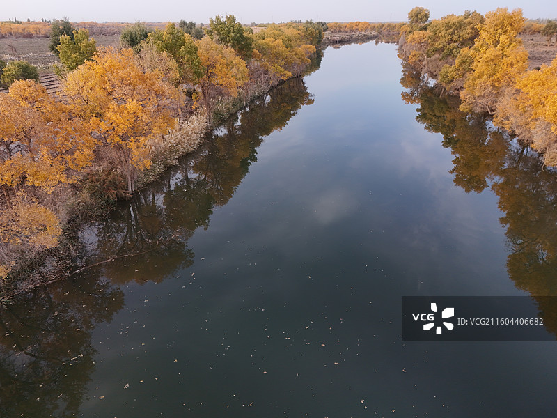 巴楚红海胡杨林秋色图片素材