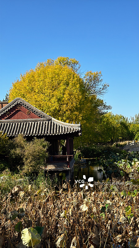 天子北宁公园秋色图片素材