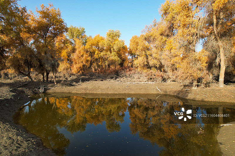 新疆沙雅139胡杨秘境公路沿途风光图片素材