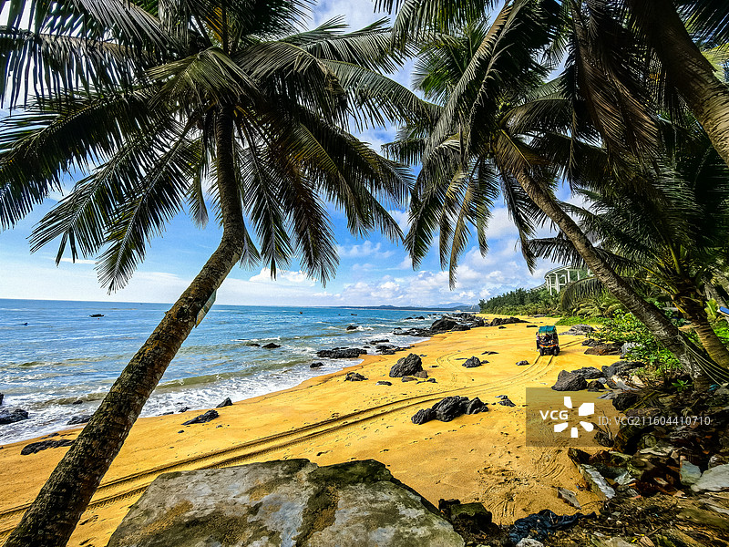 中国海南省万宁市山钦湾海岸风光，山钦湾上空的飞机，山钦湾公路旁的槟榔树 (图片素材