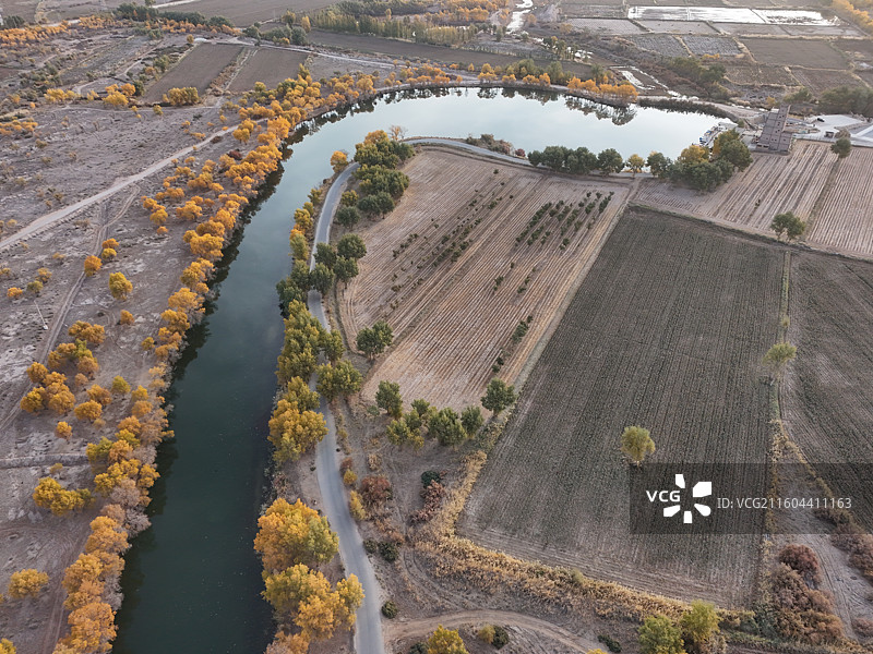 巴楚红海胡杨林秋色图片素材