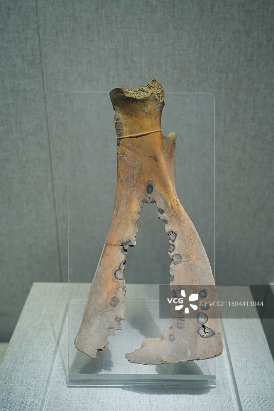 夏代卜骨  偃师市二里头出土  中国河南省郑州市河南博物院馆藏文物图片素材