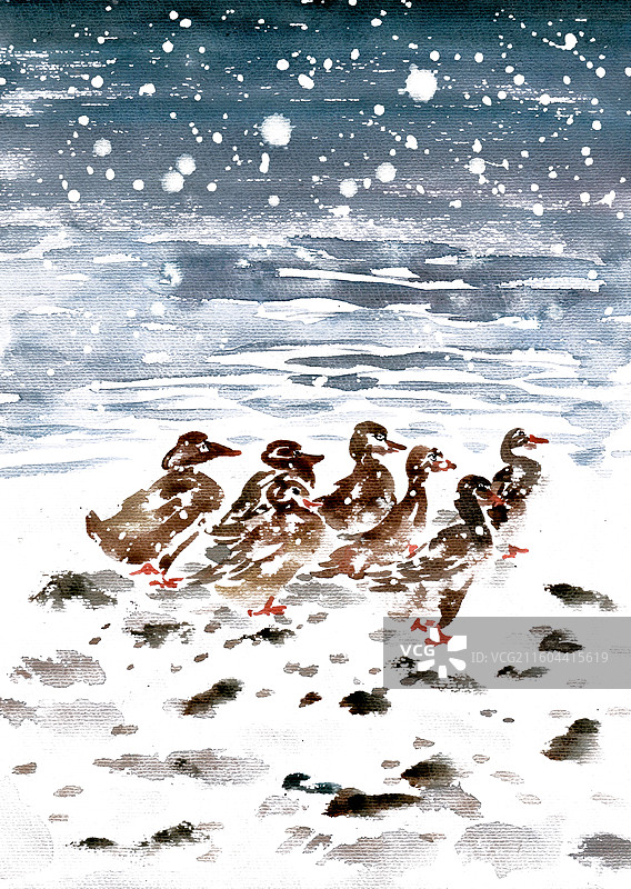 寒雪中的鸭子图片素材