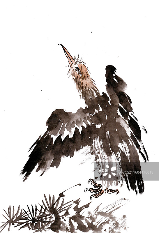 岩石上的秃鹫图片素材