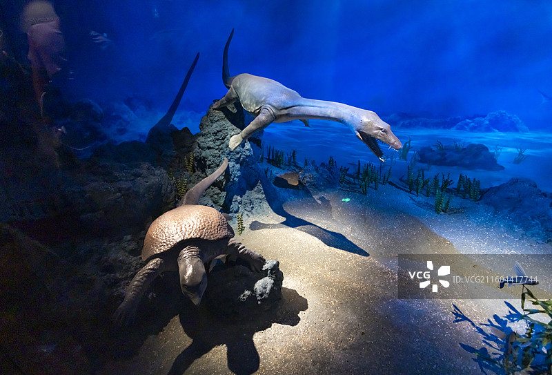 三叠纪时期兴义动物群场景复原  国家海洋博物馆图片素材