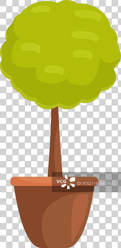 盆栽的圆形树木，用于景观美化图片素材