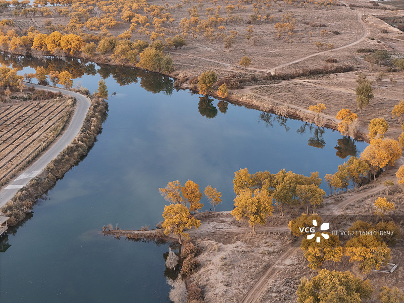 巴楚红海胡杨林秋色图片素材