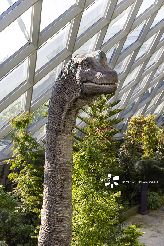 新加坡滨海湾花园云雾林恐龙图片素材